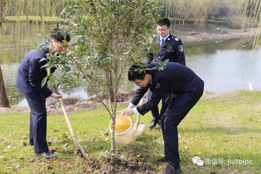 yp街机·电子游戏(中国)官方网站