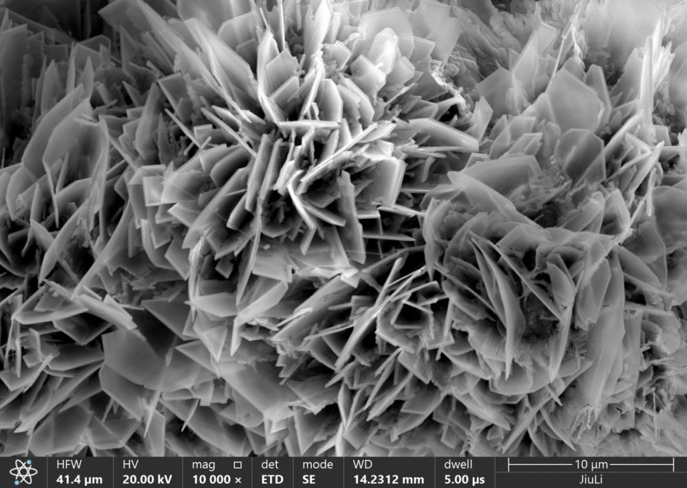 yp街机·电子游戏(中国)官方网站